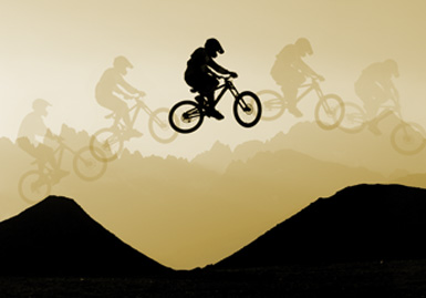 Downhill Mountain Bike on Mammoth Mountain Bike Poster    Mammoth Mountain Live Vibe